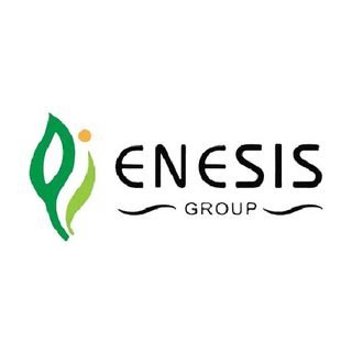 Enesis Group